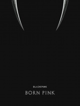 BLACKPINK - 2nd ALBUM - BORN PINK (BOX SET Ver.) (KR)