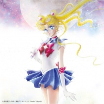 Sailor Moon The 20th Anniversary Memorial Tribute